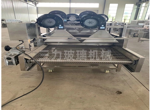 風(fēng)干網(wǎng)帶輸送機(jī)